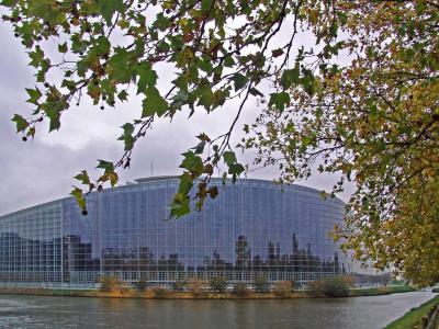 EU parliament