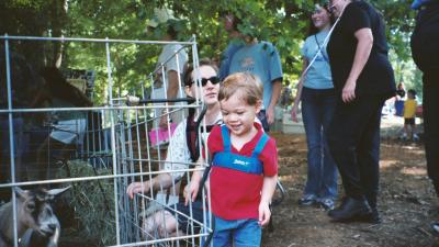 Ben looking at the goats at Hog Day in Hillsborough, NC