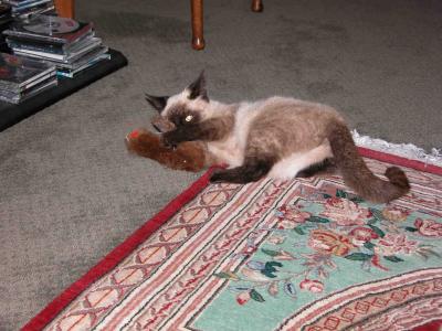 get the mouse