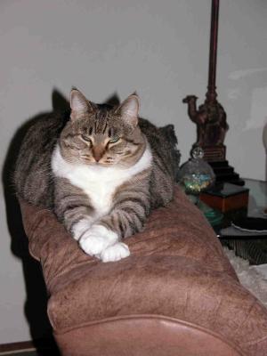 Her Highness