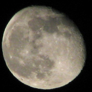 S1_8030c.jpg