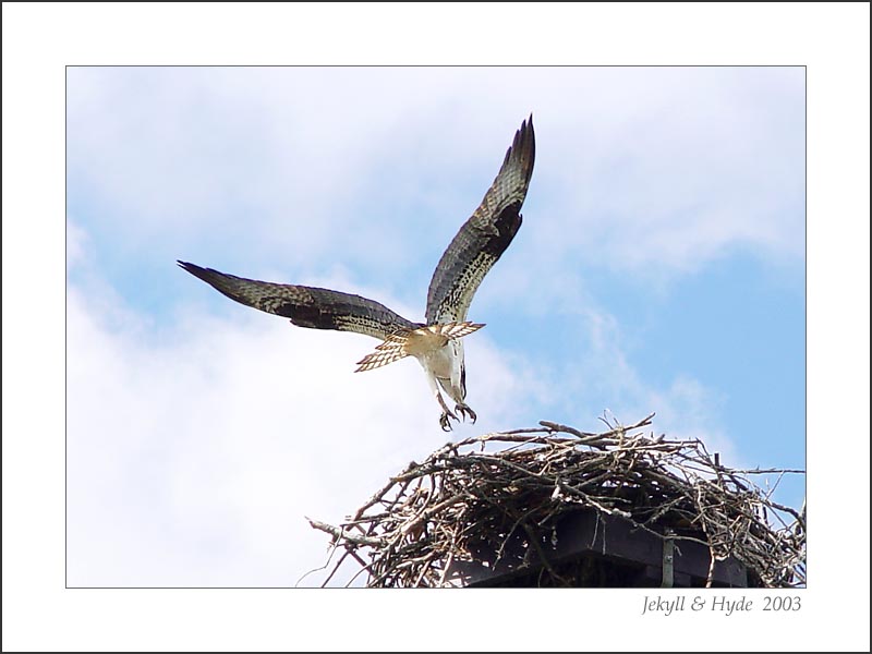 Landing