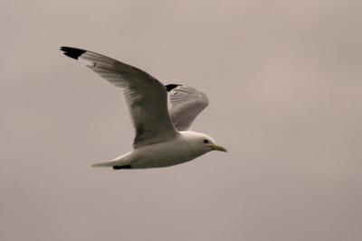 DSC_0043-small.jpg
