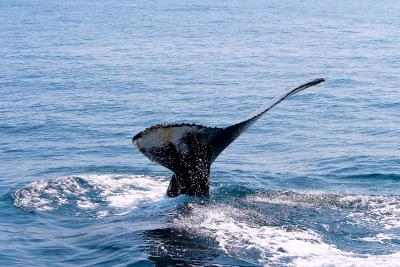 CRW_0565.jpg