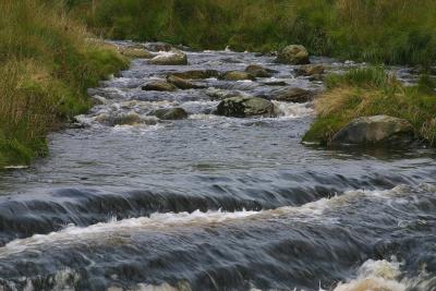 Elan Valley Stream.