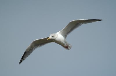 DSC_2258.jpg
