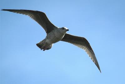 DSC_2476.jpg