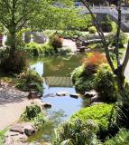 Pond with reflection