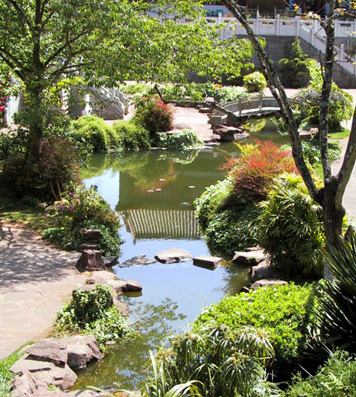 Pond with reflection