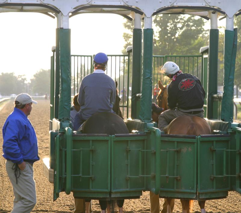 IMG_5794----at the old track starting gate practicing exits.jpg