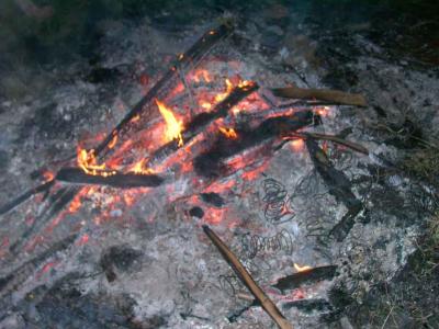 Image094.jpg