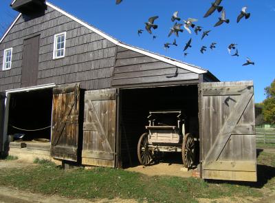 holmdelfarmbirds.jpg