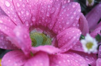 Image253.jpg