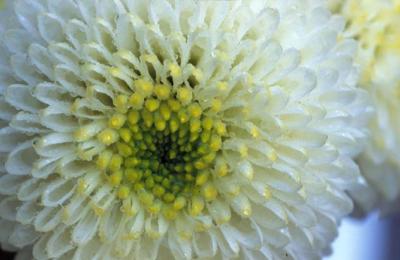 Image251.jpg