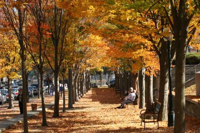 Fall at Princeton, NJ
