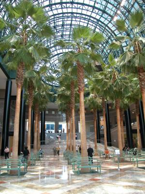 Winter Garden