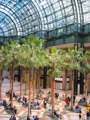 Inside Winter Garden