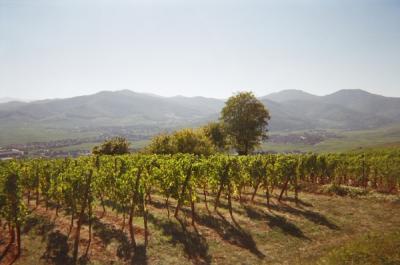 Spain and France, September, 2003