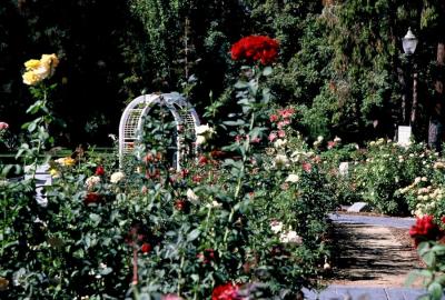 rosegarden.jpg