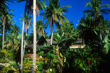 CocoBeachPHI2004_huts.jpg