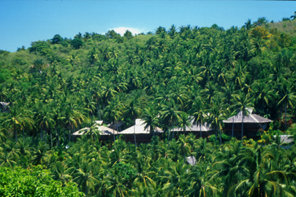 CocoBeachPHI2009_huts.jpg