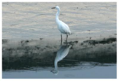 IMG_8481 copy.jpg