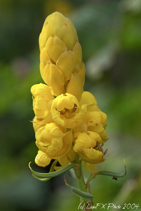 CRW_6698-TW.jpg
