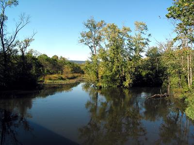 Small island_4334.jpg