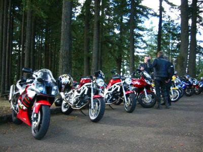 livs-group-bald-peak.jpg