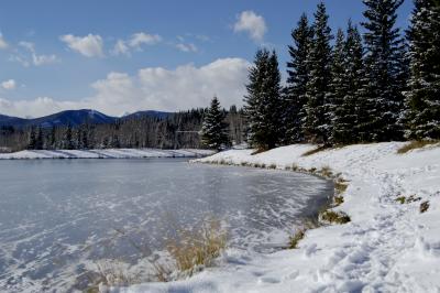 Winter Pond