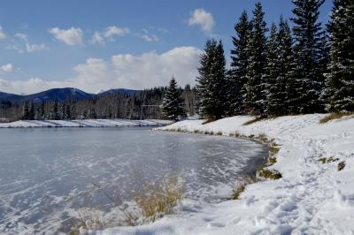 Winter Pond