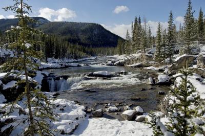 Elbow Falls Winter