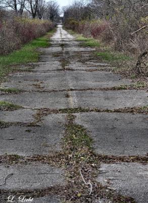 Going Nowhere 0682.jpg
