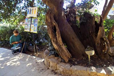 Parc Gell: Tree in Tree
