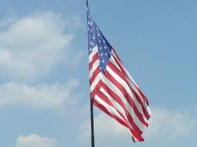 u33/looniecoonie/medium/21566803.P8080007_resize.jpg