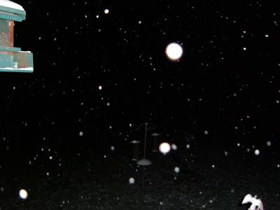2004_1113Image0001.JPG