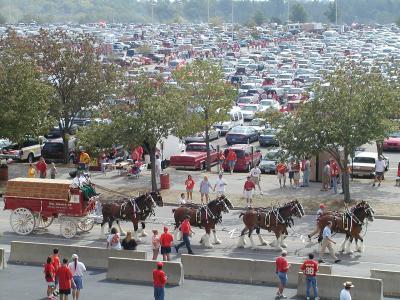Budwieser Clydesdales