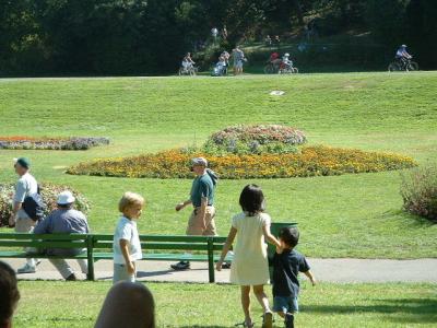 DSCF0060.JPG