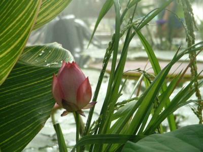 DSCF0078.JPG