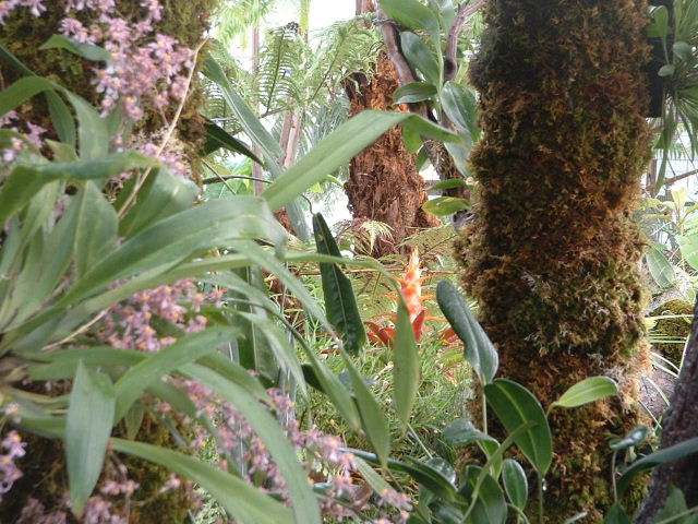 DSCF0095.JPG