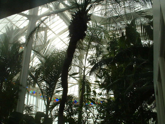 DSCF0102.JPG