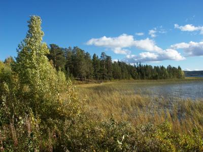 Lake near Jokkmokk