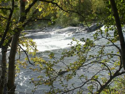 Skoltefossen