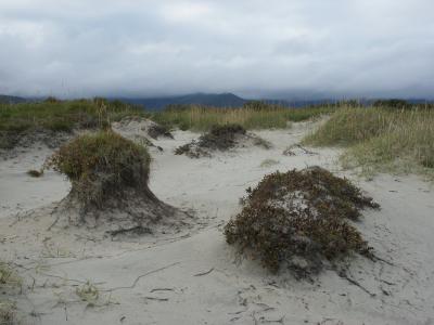 Sand dune