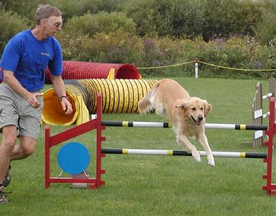 K9 Kup Agility 2003