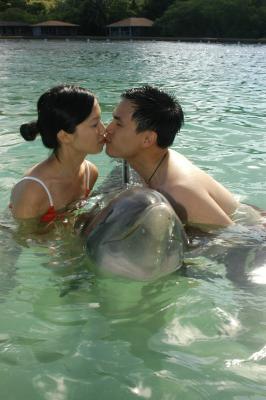 Caribbean Cruise