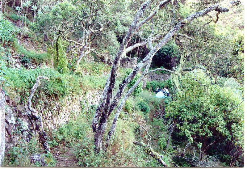  Camping at  Pincha Unuyoc