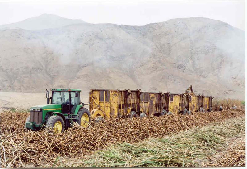 The sugar-cane fields are now farmed by a co-operative, but formerly belonged to the US-owned Grace Corporation