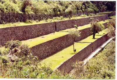 Choquequirao andenes