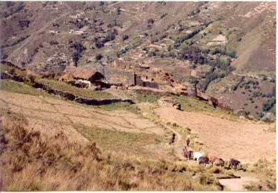 The hillsides around Tantamayo are dotted with Yarowilca ruins